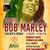 Tributo a Bob Marley Salburua 