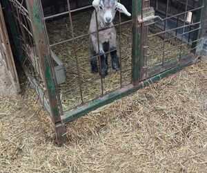 Foto de I en Vitoria