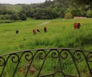 caminante