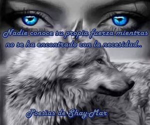 jose