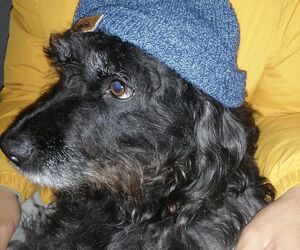 patri