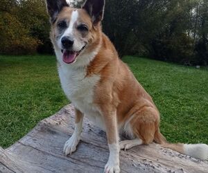 ruth