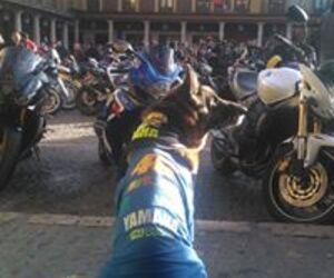 Yz Nena