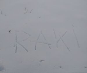 Raki