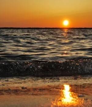Carpe Diem