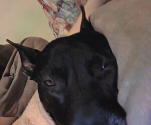 Foto de Izan en Vitoria