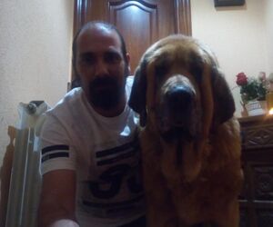 Jose luis
