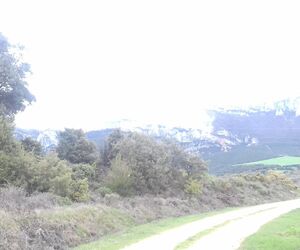 Juanjo