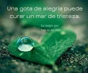 M Carmen Gonza