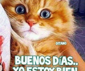 Gladys