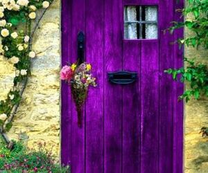 La puerta viol