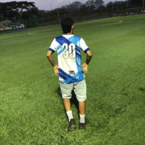 Ander