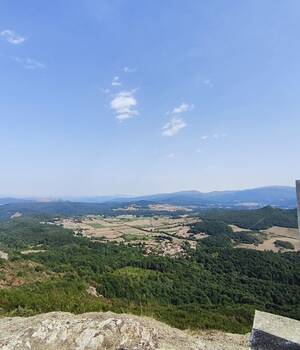 CasadoSoloChar