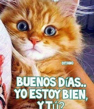 Gladys