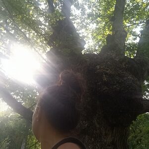 Isabel