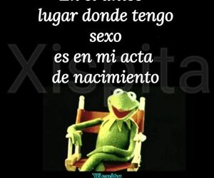 Micologo Micol