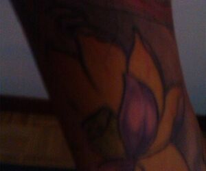 flipe