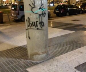 Alvr Alr