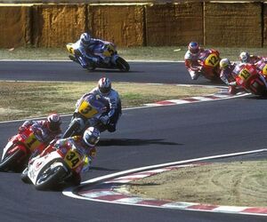 Jose 46
