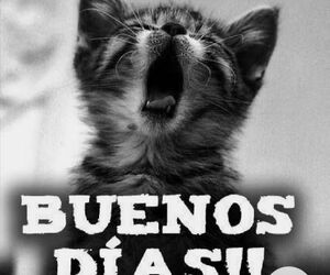 Txus