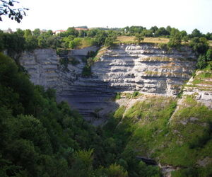 garbancitovelo