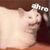 Vito