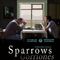 TARDE DE CINE (Sparrowos-GORRIONES)