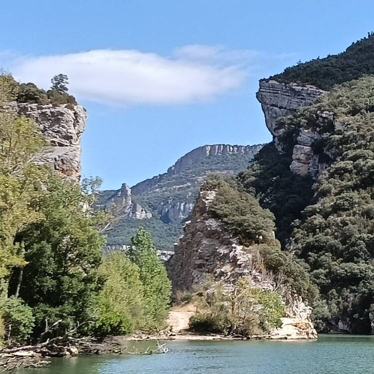 Foto de perfil de jose m