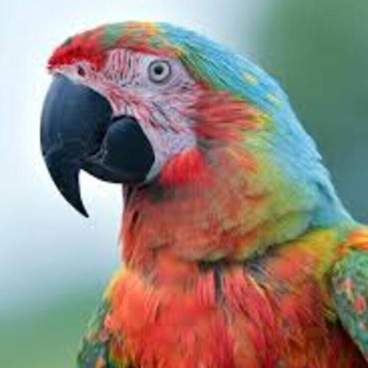 Foto de perfil de xoel