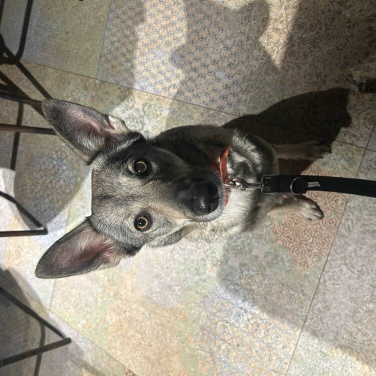 Foto de perfil