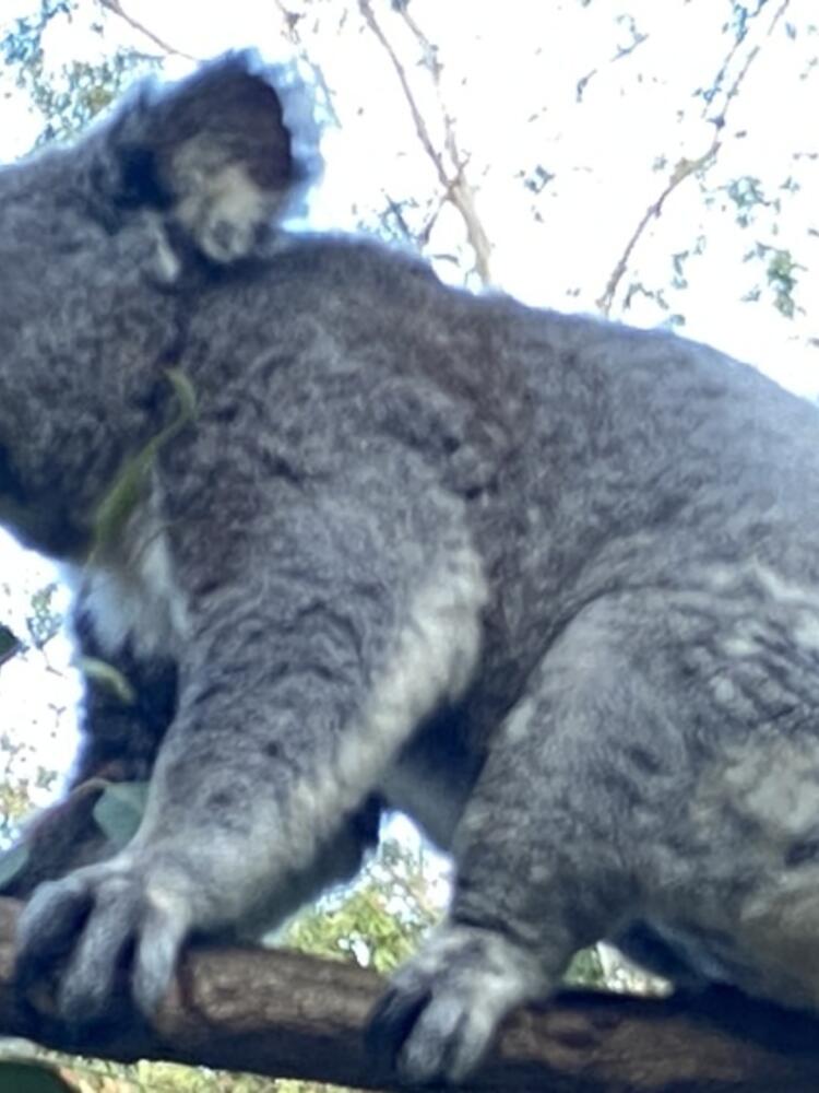 Foto de perfil de Javier