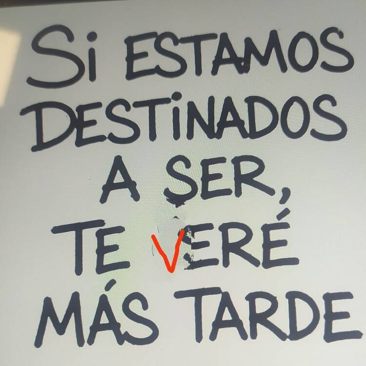 Foto de perfil de Vicente