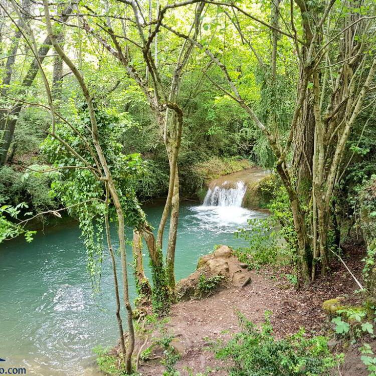 begoña