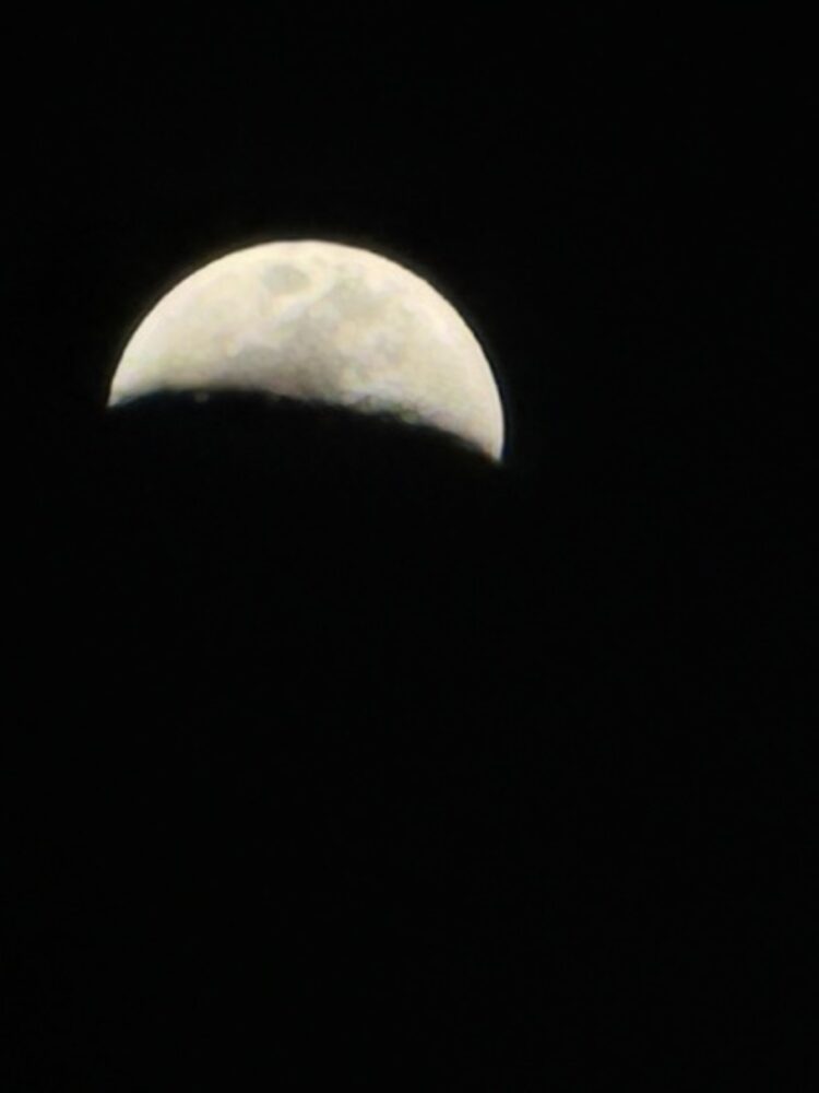 Foto de perfil de Landdr