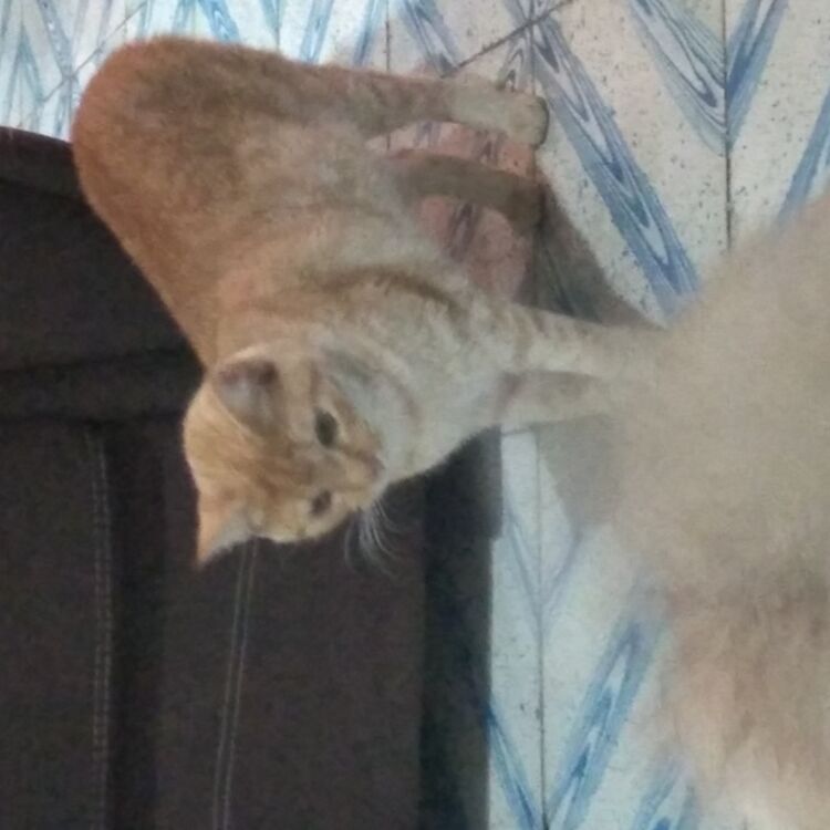Foto de perfil de José