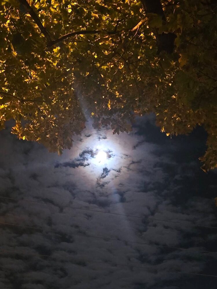 Foto de perfil de Adriana