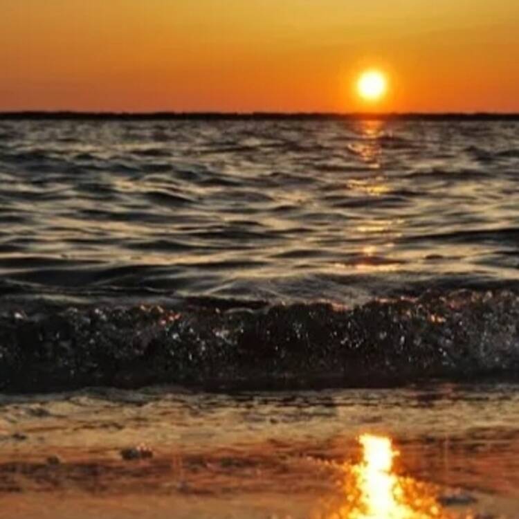 Foto de perfil de Carpe Diem