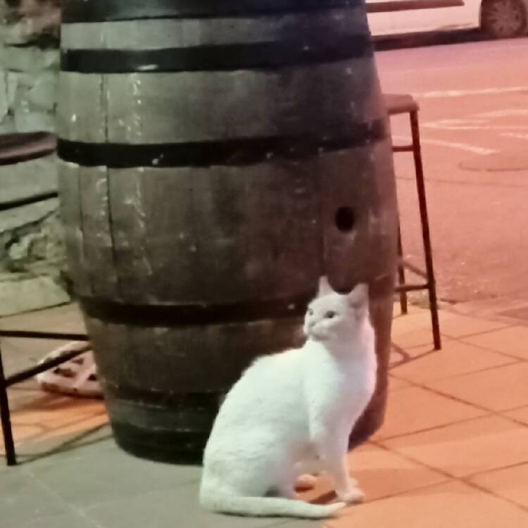 Foto de perfil de Odei