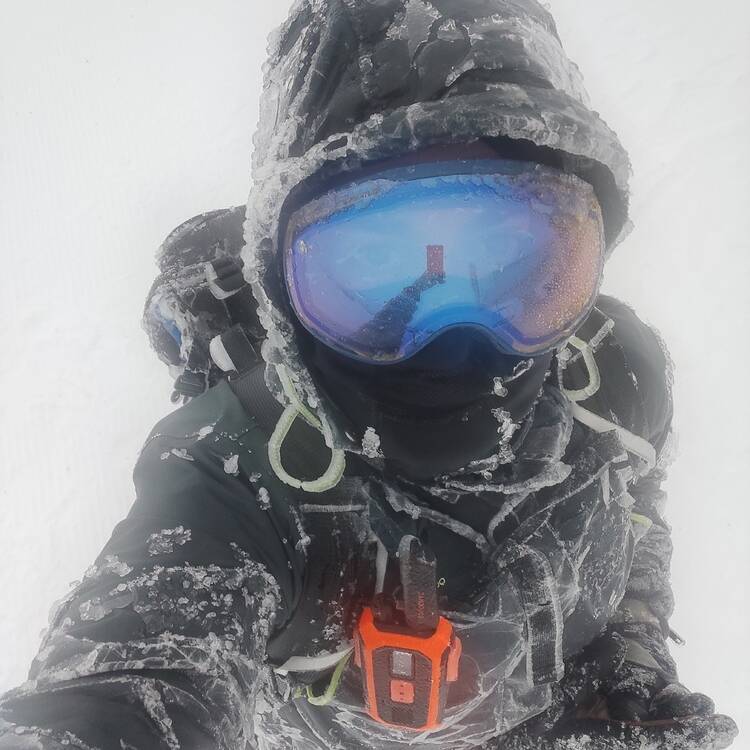 Foto de perfil de David