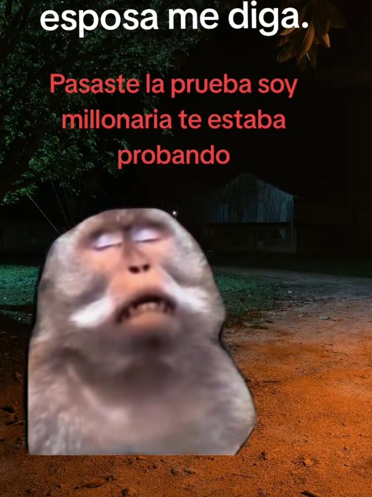 Foto de perfil de Jon