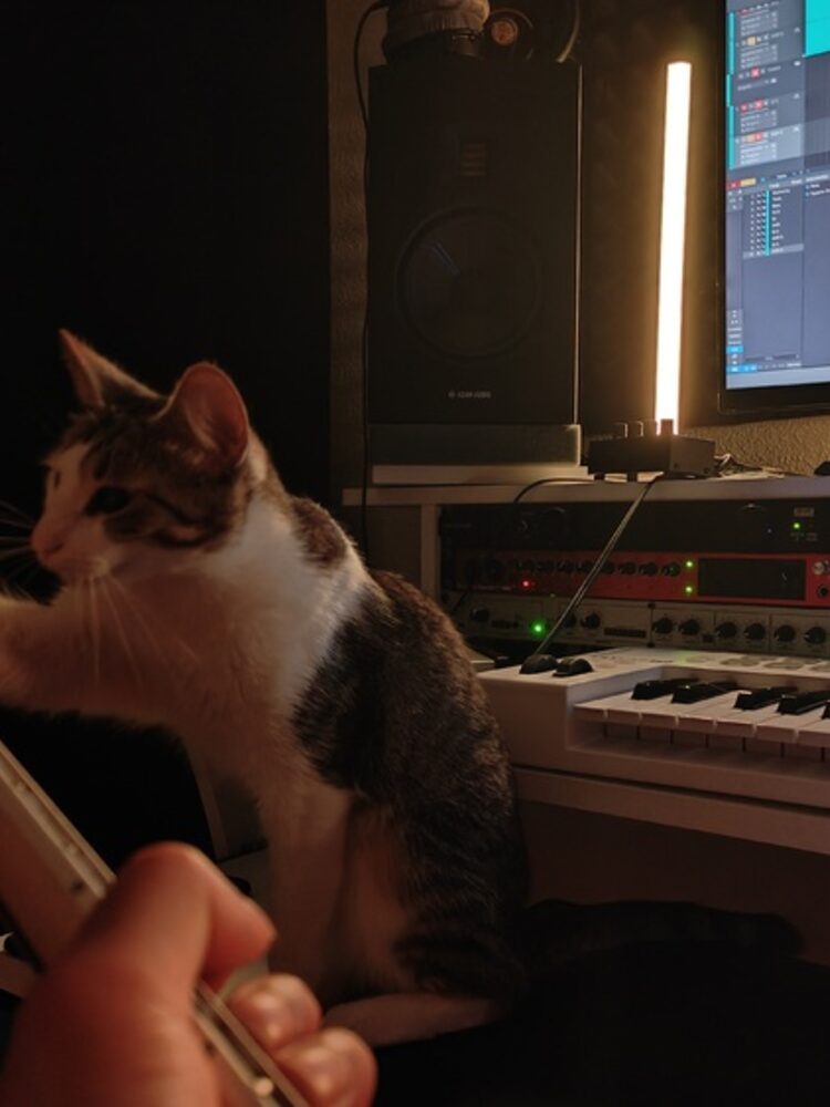 Foto de perfil de JC