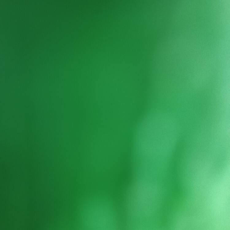 Foto de perfil de Palbo