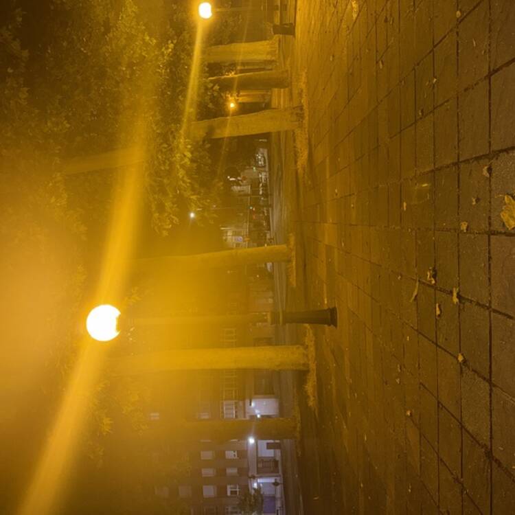Foto de perfil de Aratz