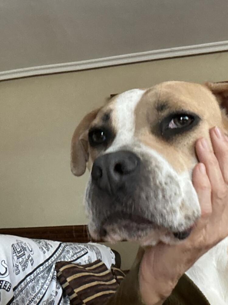 Foto de perfil de maribel