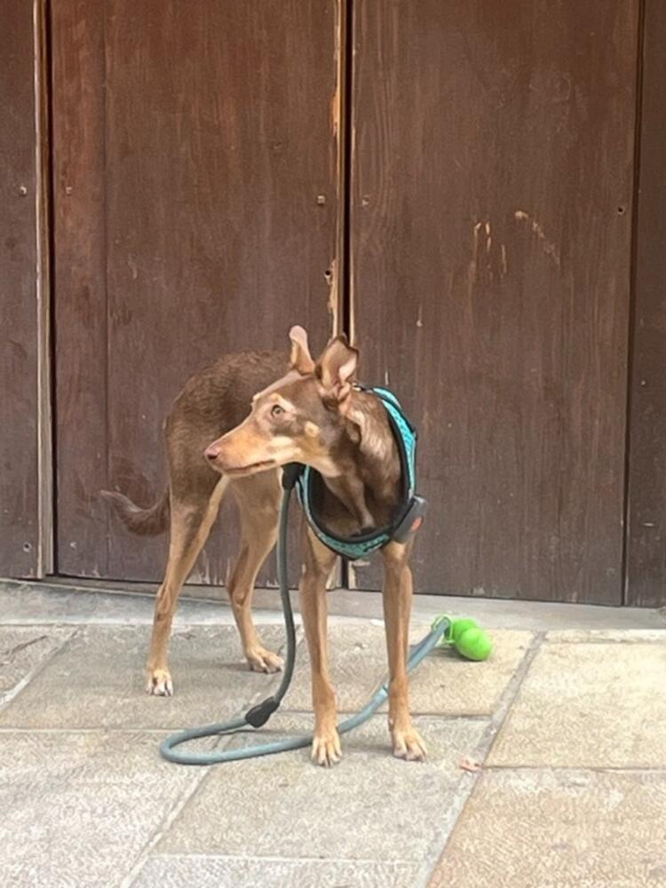 Foto de perfil de Mila