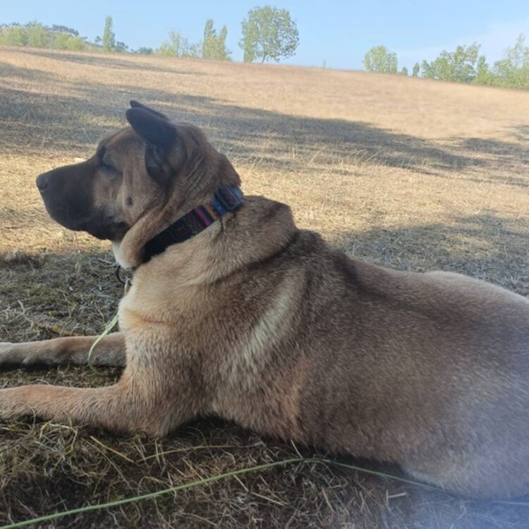 Foto de perfil de Ana