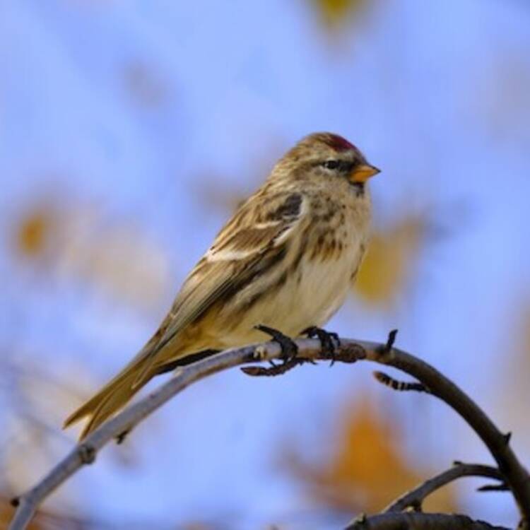 Foto de perfil de Javier