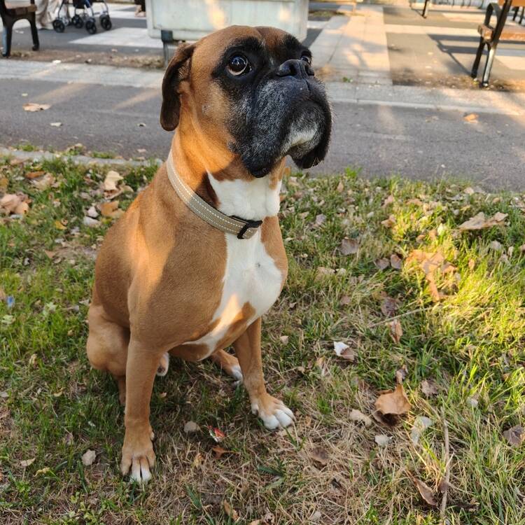 Foto de perfil de B.r